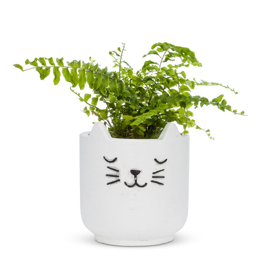 Sleeping Cat Planters - Tiny Tiger Gift Shop